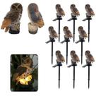 Coruja Luminaria Solar Kit 9 Uni Jardim Quintal Casa Decoraçao Enfeite Multiuso Luz Led Resistente Ave Escultura
