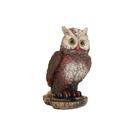 Coruja Na Rocha Estatueta Espanta Pombo Enfeite Decoração Casa Jardim - Várias Variedades