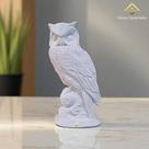 Coruja no Galho em Gesso Premium 21 Cm Peça Decorativa P/ Pintura Artesanato DIY VÁRIAS VARIEDADES