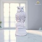 Coruja no Livro em Gesso Premium 16 Cm Peça Decorativa para Pintura Artesanato DIY VÁRIAS VARIEDADES