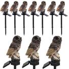 Coruja Solar Lumianaria Kit 10 Uni Decoraçao Casa Quintal Jardim Varanda Multiuso Aves Escultura