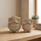 Corujas Decorativas Kit com 2 Peças Enfeite Moderno Minimalista VÁRIAS VARIEDADES