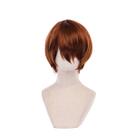 Cosplay Wig Deaths Notes Yagamis Lights Anime Short Hair