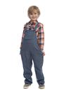 Costume Dress Up America Farmer para crianças - macacão e camisa