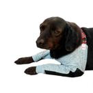 Cotoveleira Acolchoada Protetora de Calo Higroma Para Cachorro Membros Anteriores Cotoveleira Acolchoada Protetora de Calo Higroma Para Cachorro Membros Anteriores