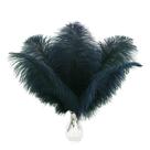 Craft Feathers Ballinger, azul marinho, avestruz, 25-30 cm, 24 unidades
