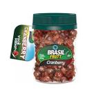 Cranberry desidratada frutt brasil 160gr