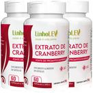 Cranberry Extrato 3 Frascos - Polifenois Proantocianidinas