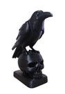Crânio Caveira Com Corvo impressão em 3D Decoração