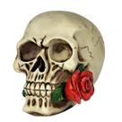 Crânio Caveira Com Rosa Vermelha Na Boca Grande Decorativa Crânio Caveira Com Rosa Vermelha Na Boca Grande Decorativa