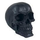 Crânio Caveira Esqueleto Preto Black Skull Decorativo Crânio Caveira Esqueleto Preto Black Skull Decorativo