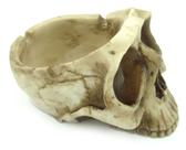CRANIO CINZEIRO Medio de Resina Betumado