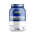 Creatina 100 Pura 1kg POTE ATACADÃO MAROMBA