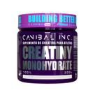 Creatina 100% Pura Monohidratada 300g Canibal Inc