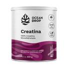 Creatina 300g