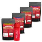 Creatina 500g L-Glutamina 1Kg L-Arginina 250g Beta-Alanina 150g - 100% Puras Importadas - Red Fit Nutrition