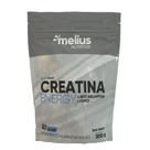 Creatina Energy 300g