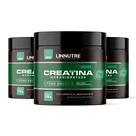 Creatina + Feno Grego LinForce - 3 unidades