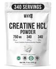 Creatina HCL em Pó WHYZ 255 g Sem Sabor Não OGM