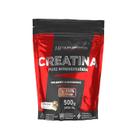 Creatina monohidratada 100% pura refil 500g hf suplementos