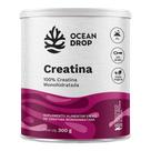 Creatina monohidratada 300g ocean drop