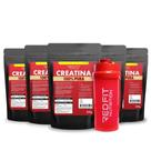 Creatina Monohidratada 750g - 100% Pura Importada - Red Fit Nutrition Creatina Monohidratada 750g - 100% Pura Importada - Red Fit Nutrition