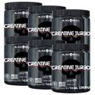 Creatina Monohidratada Black Skull 300g - Atacado 6 unidades de 300g cada Creatina Monohidratada Black Skull 300g - Atacado 6 unidades de 300g cada