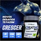 Creatina Monohidratada Creatine Xpro 300g Creatina Pura sem Adição de Carboidrato
