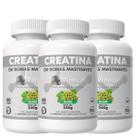 Creatina Monohidratada em Gomas Uva Verde com 60 Gummys Einstein Nutrition kit com 3 potes Creatina Monohidratada em Gomas Uva Verde com 60 Gummys Einstein Nutrition kit com 3 potes