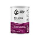 Creatina Monohidratada Em Pó Pré Treino Suplemento Alimentar Creatina Monohidratada Em Pó Pré Treino Suplemento Alimentar