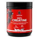 Creatina monohidratada em pó Six Star Elite 100% 300g