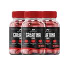 Creatina Monohidratada Pura em Cápsulas Nanovit