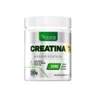 Creatina Monohidratada Pura Micronizada Performance e Vida Fitness 250g Denavita