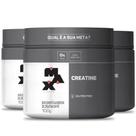Creatina Pura 100g Monohidratada Max Titanium Kit 3 Potes