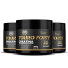 Creatina Touro Forte 3x150 gramas Pura Creatine Powder Food Supplement - Alisson Nutrition