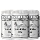 Creatina Ultra Micronizada Pura 300g Einstein Nutrition c/3 Creatina Ultra Micronizada Pura 300g Einstein Nutrition c/3