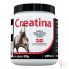 Creatina Vetnil Suplemento Alimentar para Cães e Equinos - 500 g