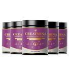 Creatmina Glyk Brasil Original 5 Frascos