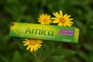 Creme de Arnica Extrato de Arnica Montana Arte Nativa