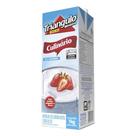 Creme de Leite Triângulo Base Culinária 1Kg - Embalagem com 12 Unidades