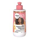 Creme De Pentear Salon Line SOS Mel E Óleo De Argan Restauração Extrema 300ml Creme De Pentear Salon Line SOS Mel E Óleo De Argan Restauração Extrema 300ml