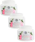 CREME FACIAL PREVENTIVO ROSA MOSQUETA NUTRITIV 55g NATUFLORES KIT 3und CREME FACIAL PREVENTIVO ROSA MOSQUETA NUTRITIV 55g NATUFLORES KIT 3und