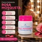 Creme Hidratante Rosa Mosqueta Nativa Brasil Niacinamida B3 50g Creme Hidratante Rosa Mosqueta Nativa Brasil Niacinamida B3 50g