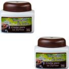 Creme Hidratante San Jully Castanha da Índia Pote 240g Kit 2 Unidades