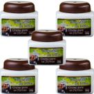 Creme Hidratante San Jully Castanha da Índia Pote 240g Kit 5 Unidades