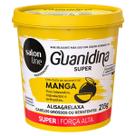 Creme Relaxante Capilar Salon Line Guanidina Manga 215G