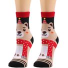 Crew Socks Cute Bear, design de desenho animado para mulheres e homens