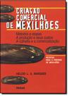 Criaçao Comercial De Mexilhões