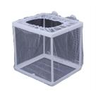 Criadeira para Peixe Alevino Pequeno Aquario Betta Lebiste