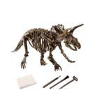 Criativo DIY Digging Crystal Pirate Treasure Archeology Quebra-cabeça infantil